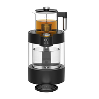 Samovar électrique Hotsy 3,8 L avec contrôle de température, chauffe-eau instantané, samovar turc en verre, bouilloire et théière