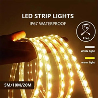 Guirlandes lumineuses en cuivre, prise EU 220V, 8mm, IP67, haute luminosité, étanches, télécommandées, à intensité variable, pour éclairage de chambre, de salon et de cuisine
