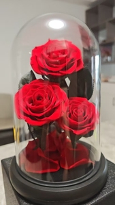 Rosa Essiccata in Acrilico, Il Piccolo <span class=keywords><strong>Principe</strong></span>, Regalo Qixi, Fiore Conservato, Regalo di San Valentino, Fiore Conservato di Alta Qualità - Product Image 3