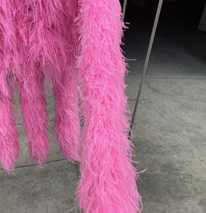 HS งูเหลือมขนนกกระจอกเทศสีแดง1ply เป็นมิตรกับสิ่งแวดล้อมขายดีสำหรับงานแต่งงานจบการศึกษาตกแต่งวันวาเลนไทน์สีดำสีรุ้งสีชมพู - Product Image 2