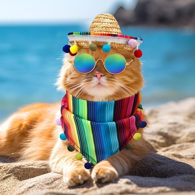 Ensemble mexicain 2