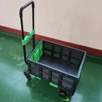 Chariot de transport pliable pour usage domestique et extérieur HT2025F Noir/Vert