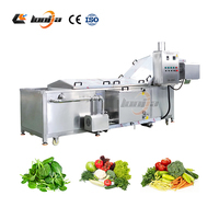 Túnel de Escaldado Continuo Automático para Albóndigas, Tomate y Pollo, Máquina de Escaldado con Motor de Acero Inoxidable 304