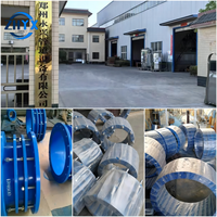 Junta de Expansão Forjada em Aço Inoxidável com Flange Dupla e Ferro Dúctil, Resistente à Corrosão, Conector de Acoplamento Rápido, 1 Peça