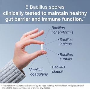 Cápsulas Mega Probióticas - Soporte Inmunológico Intestinal, Mezcla de CFU, 5 Esporas de Bacillus, 60 Cápsulas para Adultos, Salud Intestinal, Digestión, OEM - Product Image 2