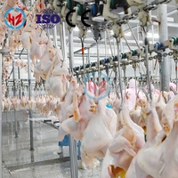Machine d'abattage de volaille rapide de 300 à 15 000 BPH, conforme aux normes halal, avec moteur et roulements, matériaux de haute qualité et assistance clé en main