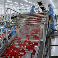 Hoge capaciteit tomatensaus productielijn, tomatenpuree verwerkings- en snijmachine, tomatenconservenmachine