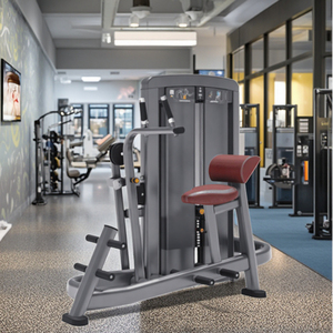 Máquinas de Gimnasio, Equipo de Fitness Comercial, Entrenamiento de Fuerza, Ejercicios para Espalda y Abdomen, LK-022, Gimnasio Comercial - Product Image 5