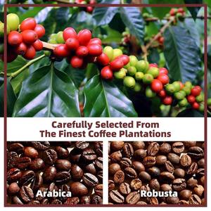 Cappuccino Reishi Sin Azúcar OEM, Extracto Orgánico de Ganoderma, Mezcla Premium de Café Negro Instantáneo, Especias, Hierbas, Alimento para el Bienestar - Product Image 6