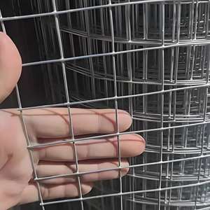 Élevage de poulets Soudage Rouleau de treillis métallique en acier galvanisé Fil soudé en acier pour oiseaux Lapin <span class=keywords><strong>Cage</strong></span> - Product Image 3