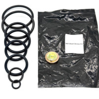 Kits de réparation Premium 20 à course courte avec joints toriques FKM haute performance, étanchéité OEM actionnée manuellement pour opérations de forage