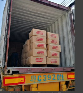 Résine de Damar Naturelle en Gros (CAS 9000-16-2) / Additif de Qualité Industrielle pour les Formulations d'Encres et de Revêtements - Product Image 6