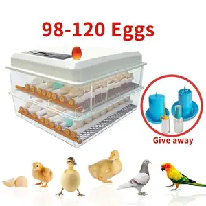 Incubateur d'œufs automatique 128, meilleure vente en thaïlande