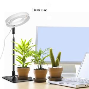 Lampe de culture LED USB 5W pour <span class=keywords><strong>plantes</strong></span> de bureau, spectre complet pour succulentes, semis, <span class=keywords><strong>plantes</strong></span> d'intérieur - Product Image 4