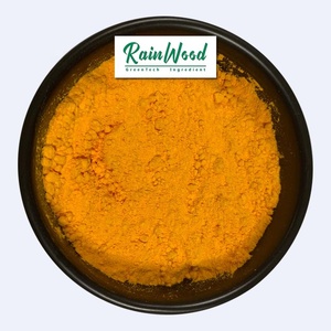 Poudre de curcumine Rainwood, extrait de racine de curcuma, poudre d'extrait de curcumine biologique à 95%, complément alimentaire, poudre de curcumine - Product Image 1