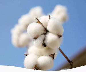 Vente en gros organique 100% coton aiguille poinçon ouate de coton naturel/rembourrage/<span class=keywords><strong>feutre</strong></span> - Product Image 4