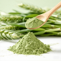 Poudre d'herbe d'orge en marque blanche, poudre de jus d'herbe d'orge, poudre super-alimentaire, fournisseur en gros de poudre d'herbe d'orge