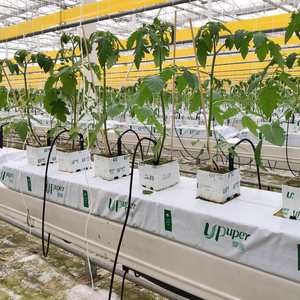 Упупер садовый субстрат для выращивания томатов, Комнатные растения, Гидропонные плиты для выращивания каменной ваты - Product Image 6