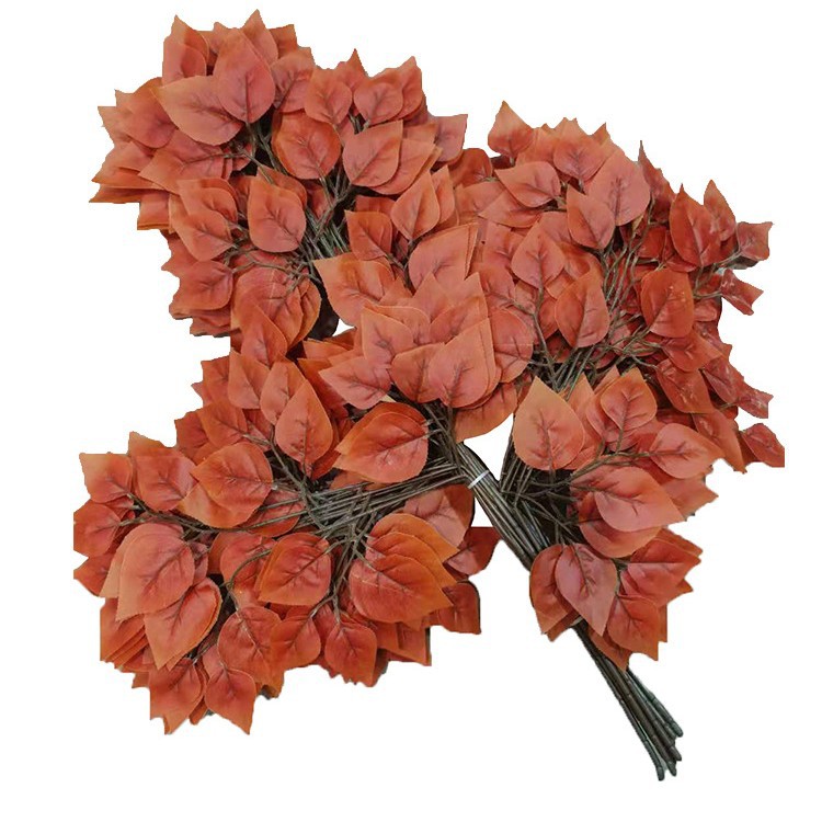 Branche de bouleau rouge d'automne