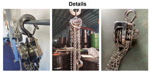 Palans à chaîne en acier inoxydable de 0,5 à 10 tonnes, blocs de levage en alliage d'acier inoxydable pour grue - Product Image 3