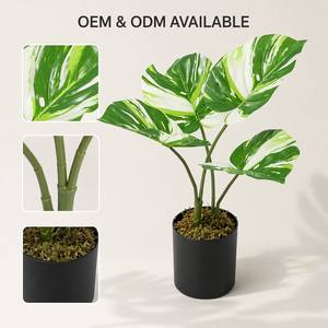 <span class=keywords><strong>Plante</strong></span> artificielle mini <span class=keywords><strong>Monstera</strong></span> haut de gamme, variée, 50 cm, feuilles PEVA réalistes au toucher, en pot, fausse verdure moderne pour la décoration de la maison et du bureau - Product Image 4