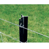 Poste recubierto de PVC con dientes de agarre, vallas de malla de alambre, firme, precio de fábrica, venta al por mayor