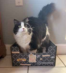 <b>Cardboard</b> <b>Cat</b> <b>Scratcher</b> Box & Bed - Dark Grey Diamond (Vertical L-Shaped) | Double-Sided Corrugated Pad for Indoor <b>Cats</b> - Product Image 1