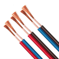 Câble audio plat en cuivre OFC transparent 2 conducteurs CCA (copper-clad aluminum) 2x2,5mm² pour enceintes Hi-Fi