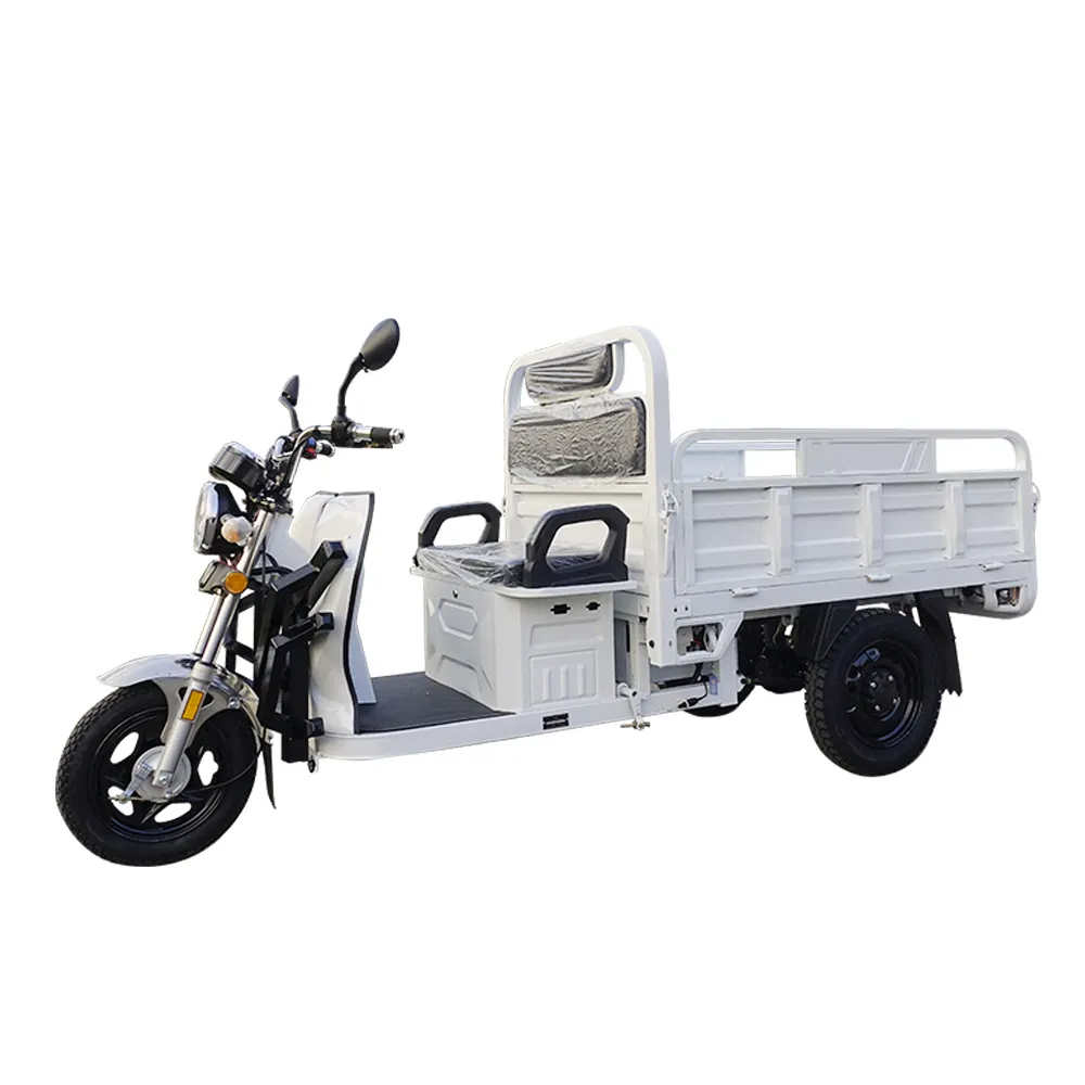 Longue durée de vie de la batterie Bonne qualité et à bas prix Fret transportant des passagers Tricycle électrique chinois Moto électrique