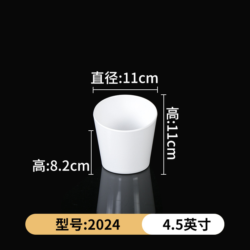 2024 [Pack of 10]