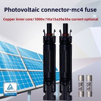 Fusible DC spécifique à l'énergie photovoltaïque, boîtier PPO IP67, type FFCFPC, connecteur de fusible 1000V, 10A/20A/30A