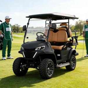 Voiturette de golf 2 places BETETEK avec amortisseur hydraulique pour utilisation en camping et en station balnéaire sur routes non publiques - Product Image 1