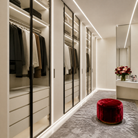 Système de dressing sur mesure avec porte vitrée, éclairage LED, miroir de courtoisie et rangement pour la maison