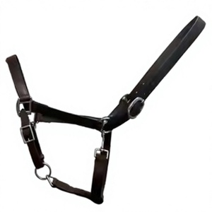Accessoires complets pour chevaux : bride, corde, licou, pour petits et grands poneys, en nylon, fournitures équestres, style selle western - Product Image 1