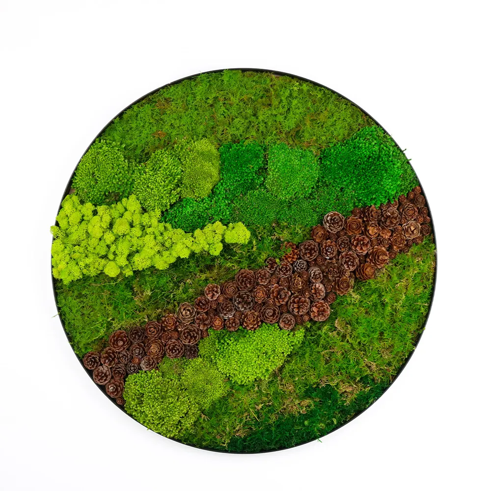 Ready Made Customized Office Decoration 3D Real Natural Moss Wall Art Frame Wholesale Reindeer Moss Stabilized