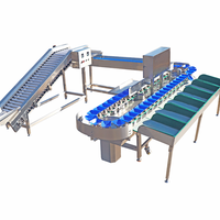 Kokosnoot Perzik Bosbessen Dadelfruit Tomaat Sorteerder Kersen Sizing Ananas Tomaat Wassen Automatische Linzen Sorteermachine