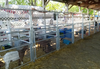 Panel de Cerca Modular Galvanizado y Soldado para Ganado con Puerta para Perros, Corderos y Animales Pequeños de Granja, 4 pies de Altura