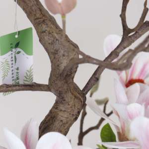 Plante artificielle en <span class=keywords><strong>pot</strong></span> en plastique Magnolia Denudata, décoration intérieure pour bureau, jardin, maison, plantes artificielles, plantes factices - Product Image 3