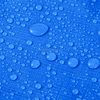 Bâche en PE robuste double bleue enduite imperméable, personnalisée et écologique pour la protection des bateaux