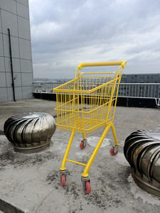 RH-SC03 480*325 * 680毫米22L黄色儿童购物车可爱儿童购物车 - Product Image 2