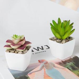 <span class=keywords><strong>Echeveria</strong></span>-bonsái artificial para decoración del hogar, mini plantas suculentas, tacto real, 2023 - Product Image 4