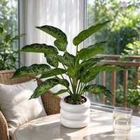 Tanaman Bonsai Dieffenbachia Buatan Berwarna-warni Simulasi Daun Palsu Dekorasi Meja Rumah Hotel Grosir