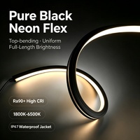 Bande LED néon noire 24V Ra95 à intensité variable, double blanc intelligent, 1800K-3000K, IP67, lumière douce pour chambre d'hôtel et éclairage d'ambiance