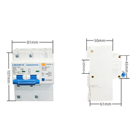 Disjoncteur différentiel RCBO ELCB DZ47-100LE 2P 100 Ampères, protection contre les fuites, montage sur rail DIN, 230V AC, pour tableau de distribution, CE IP20