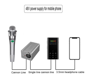 GAM-E300 + Vert Audio Microphone microphone À Condensateur Professionnel alimentation fantôme + 48V ensemble pour ordinateur Portable vivre - Product Image 6