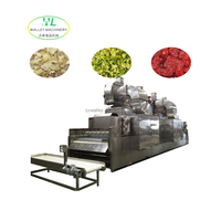 Hete verkoop Automatische RVS transportbanddroger voor mango fruit groente drooglijn motor continue ui verwerking