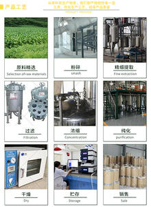 Rhizoma Chuanxiongエキス粉末卸売天然<span class=keywords><strong>Ligusticum</strong></span> <span class=keywords><strong>Wallichii</strong></span>エキス10:1 - Product Image 4