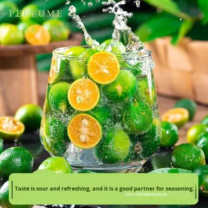 1 Verse Citroen Verse Melk Thee Mandarijnschil Hainan Groene Kumquat 5 Kleine Groene Limoenen-Seizoensgebonden Puree Bulkverpakking Gekleurd - Product Image 3
