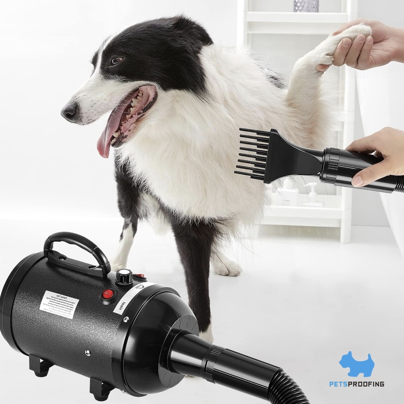 Pet Supplies Portable Adjustable Speed Cat