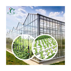 10000 m2 commercial agricole/serre en verre <span class=keywords><strong>à</strong></span> travées multiples pour tomates/concombres/poivrons/fraises avec système hydroponique - Product Image 1
